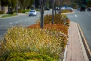roadway median strip metropolitan transportation planning services.