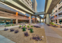 Landscape architecture at Phoenix Sky Harbor International Airport's new parking garage.