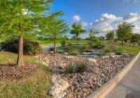 Median Landscape
