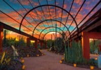 Oasis Design Group - Desert Botanical Garden