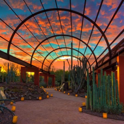 Oasis Design Group - Desert Botanical Garden