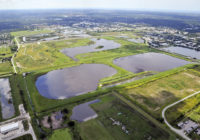 Environ Celery Fields Regional Stormwater Facility