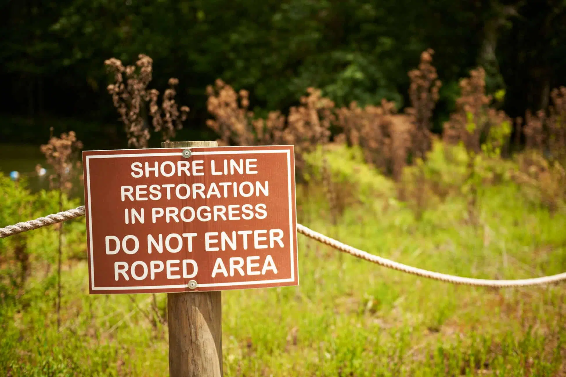 Kimley-Horn provided environmental services for the design and permitting of the Blue Hole Spring restoration project within Florida Caverns State Park.