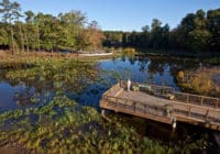 Kimley-Horn provided stormwater consulting services for a wetland retrofit to treat the runoff for a parking area at the North Carolina Zoological Park.