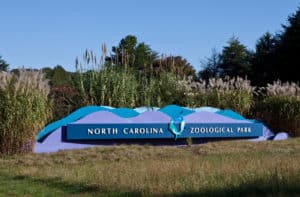 Kimley-Horn provided stormwater consulting services for a wetland retrofit to treat the runoff for a parking area at the North Carolina Zoological Park.