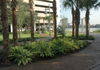 Kimley-Horn has worked for Tampa General Hospital