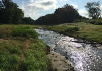 McDowell Creek Watershed