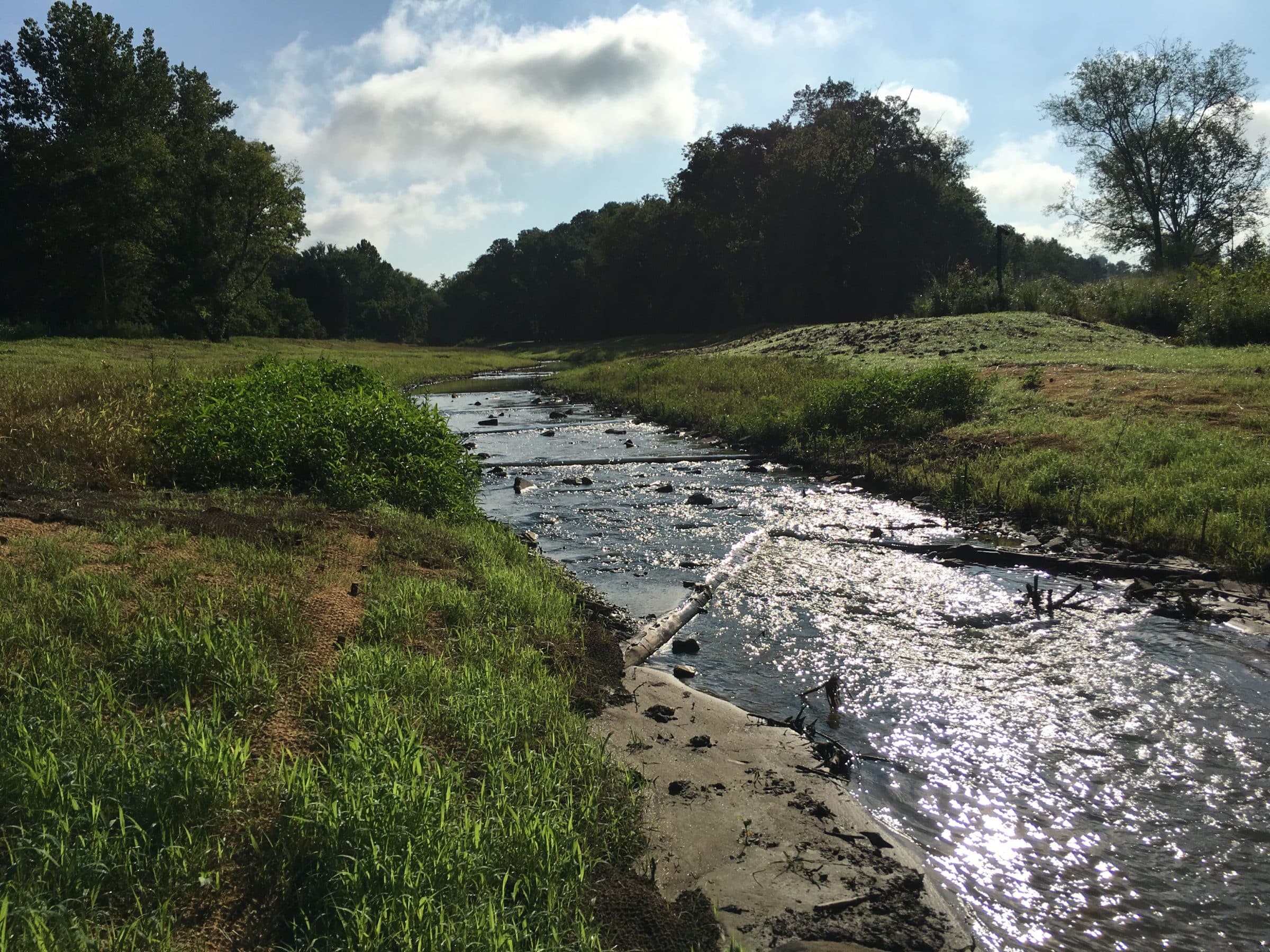 McDowell Creek Watershed