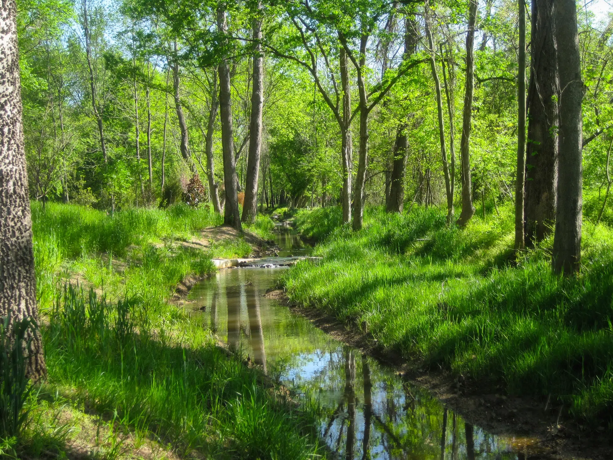 Kimley-Horn prepared ARRA applications and obtained Section 404/401 and erosion control permits for the Torrence Creek Stream Restoration project.