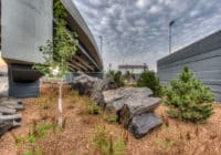 Part of the Minneapolis-St. Paul International Airport Terminal 2-Humphrey expansion, Kimley-Horn landscape architects designed the first green roof at MSP.