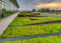 Part of the Minneapolis-St. Paul International Airport Terminal 2-Humphrey expansion, Kimley-Horn landscape architects designed the first green roof at MSP.