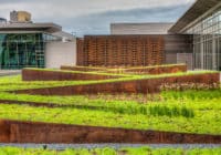 Part of the Minneapolis-St. Paul International Airport Terminal 2-Humphrey expansion, Kimley-Horn landscape architects designed the first green roof at MSP.