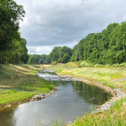 Kimley-Horn's Rob Hume shares how stream and river restoration could lead to healthier and happier natural environments and people.