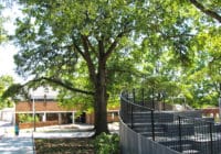 Kimley-Horn provided civil engineering, traffic design, and permitting services for the revitalization of Moore Square park in downtown Raleigh.