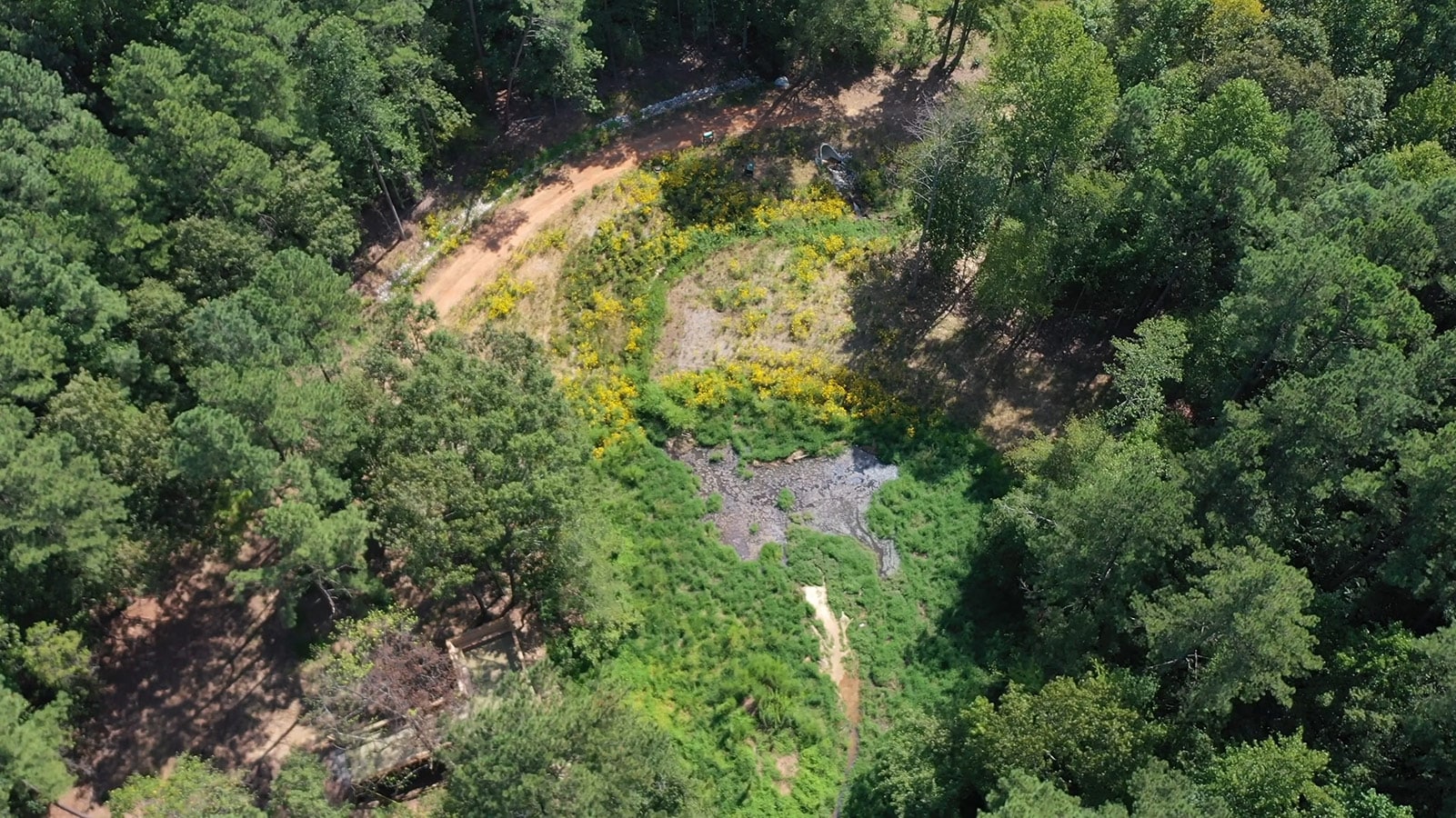 Ailey Young Park Dam Removal and Stream Restoration