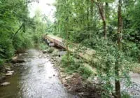 The trail stretches across a small body of water with surrounded trees.