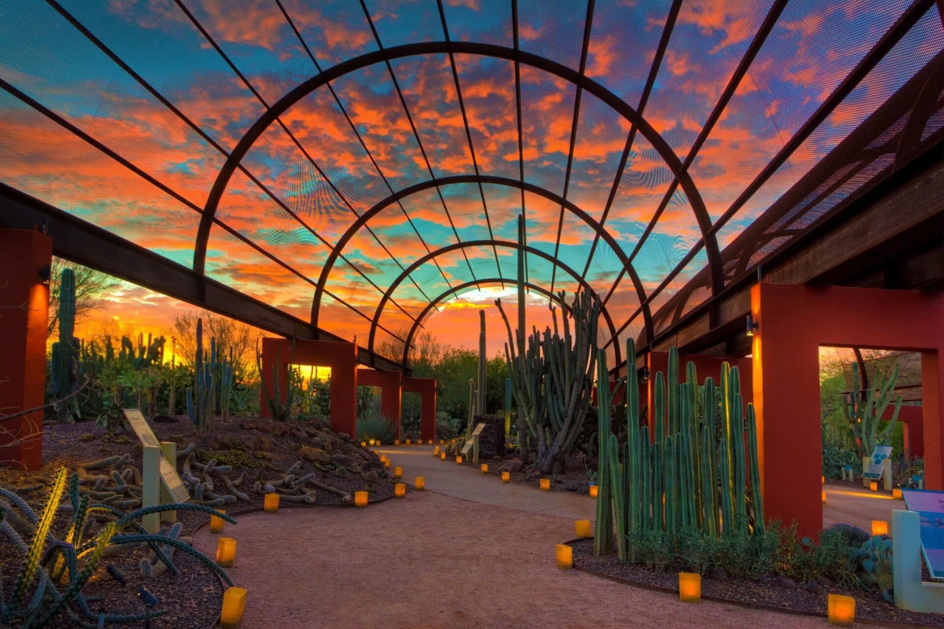 Oasis Design Group - Desert Botanical Garden