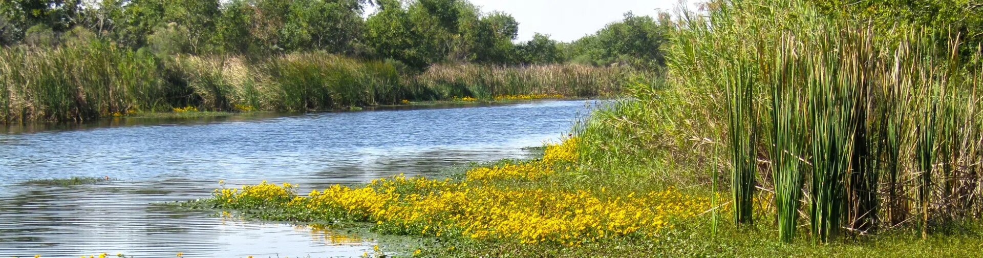 Connecting Communities: Providing Equitable Access to Urban Refuges - Kimley-Horn