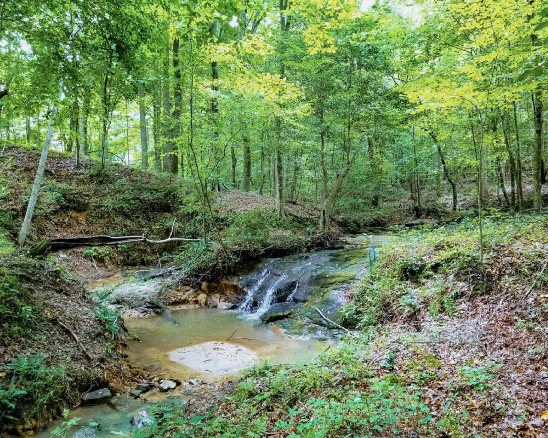 Wetlands sackett-epa